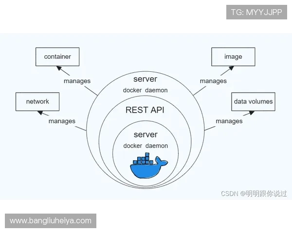 深入探讨北京羽毛球队战术表现的数据分析与策略优化研究 深入探讨北京羽毛球队战术表现的数据分析与策略优化研究